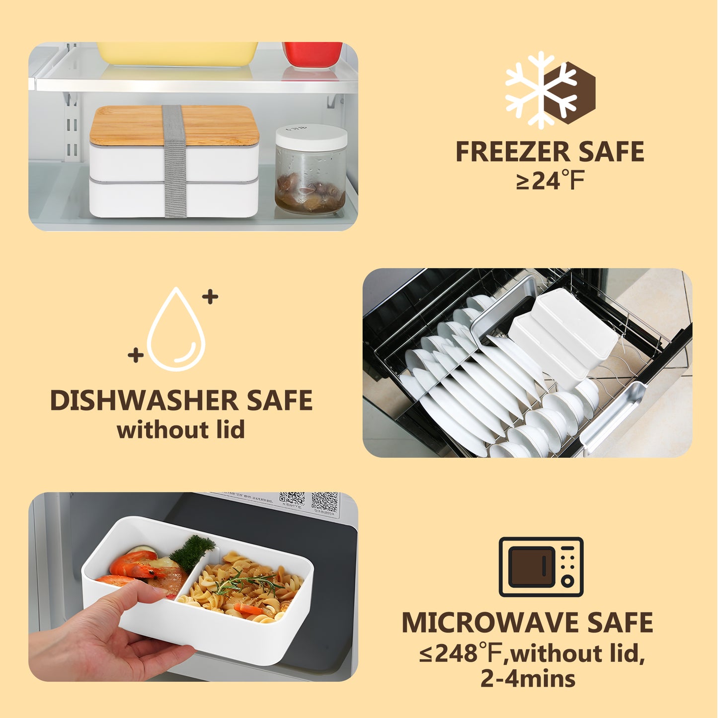Bento Box Adult Lunch Box