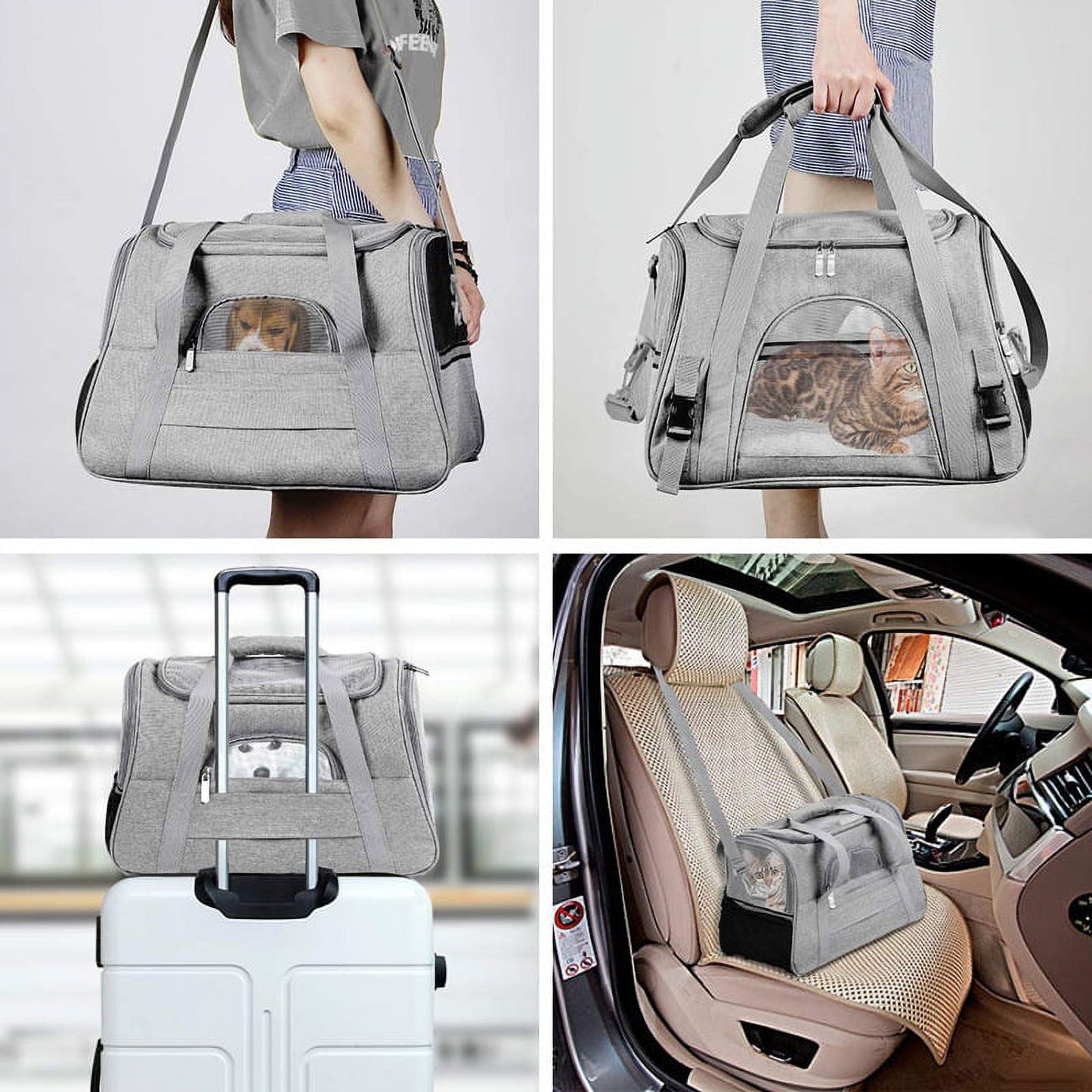 Airline Approved Pet Carriers