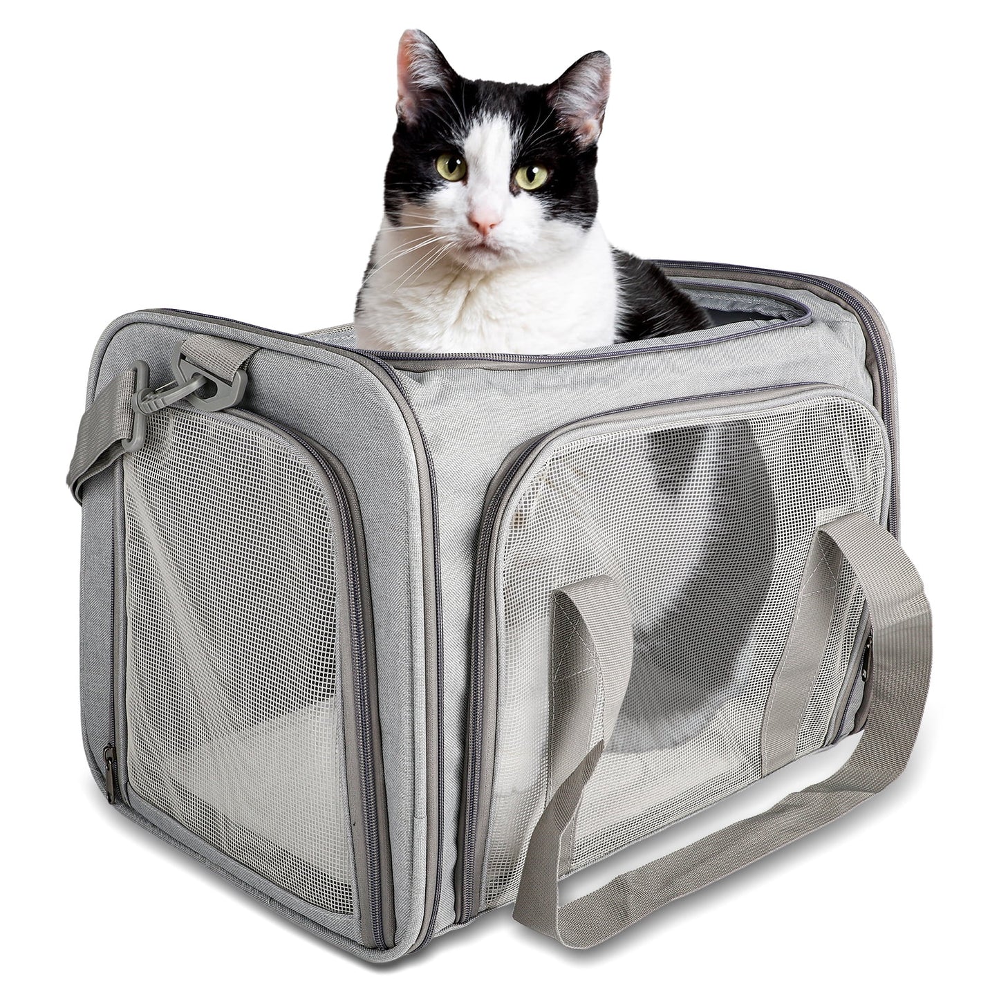 Airline Approved Pet Carriers