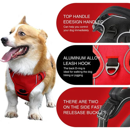 Dog Harness, S