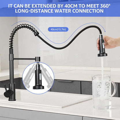 Kitchen Faucet with Pull Down Sprayer Commercial Style Kitchen Sink Faucet Spring Single Handle Matte Black