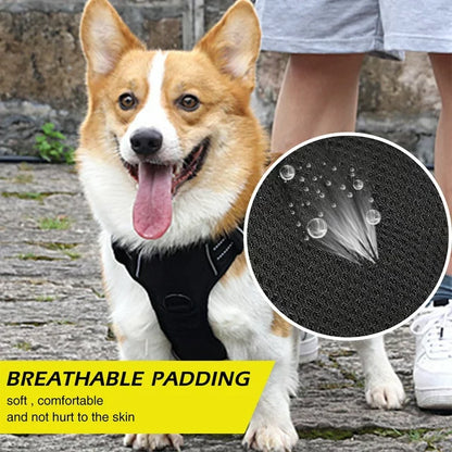 Dog Harness Red XL
