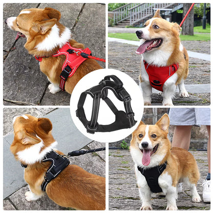 Dog Harness Red XL